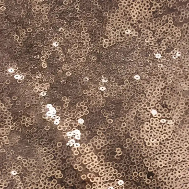Rose Gold Sequined One Shoulder Large Bridesmaid Dress